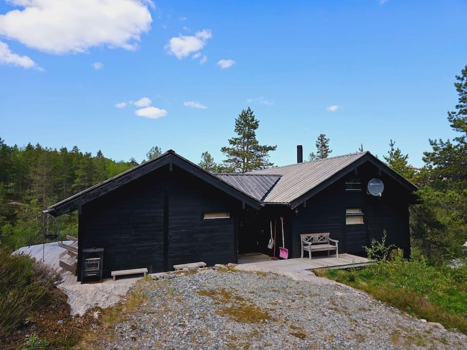 Special In Sirdal * Tjorhom